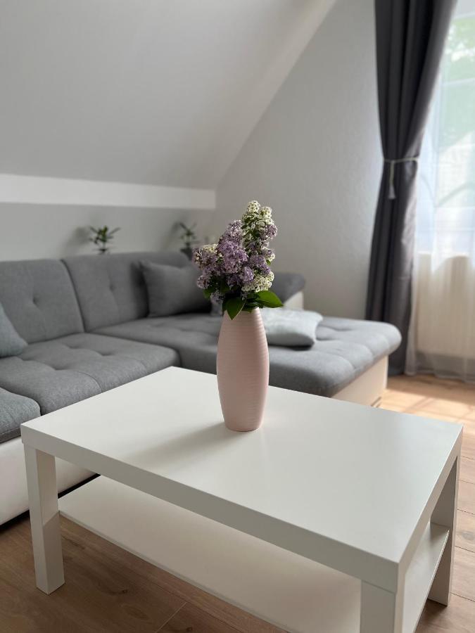 Ferienwohnung Zum Scheibe-See Hoyerswerda Exterior photo